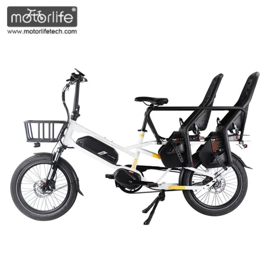 Hot Sale Cargo Bike Electric Family Cargo Bike Mid Drive For Mom With Two Baby Seats